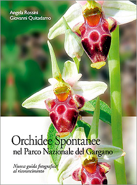 Le Orchidee Spontanee nel Parco Nazionale del Gargano